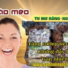 Cần mua Canon 60D tốt gi&aacute; tốt